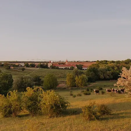 Отель Chateau