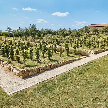 Chateau Bela (Nitriansky kraj)